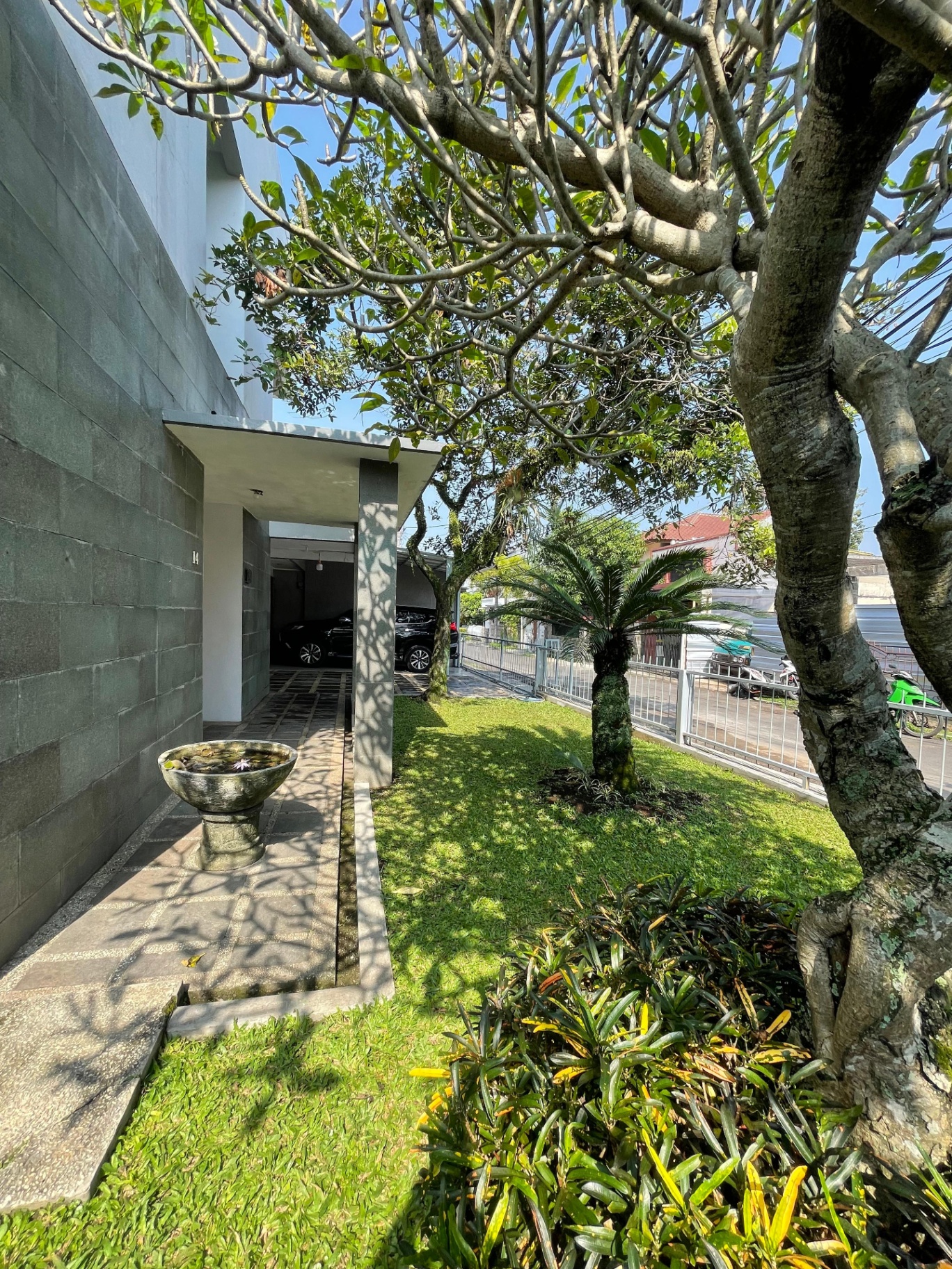 Garden pathway and lotus bowl